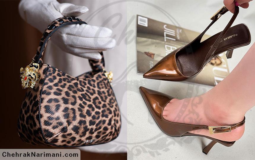 کفش مجلسی تا کیف کژوال: چگونه استایل خود را با اصول هارمونی اکسسوری‌ها تکمیل کنیم؟ 